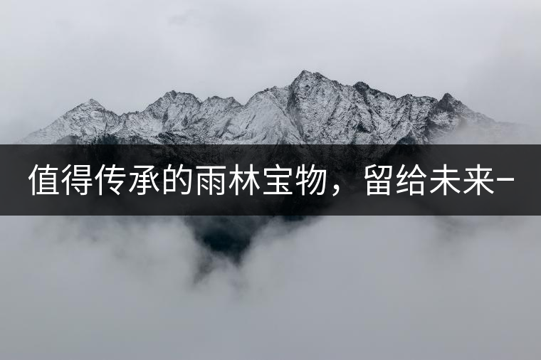 值得傳承的雨林寶物，留給未來一點“回甘”！