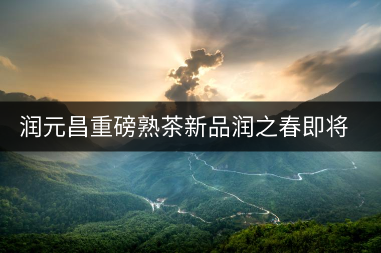 潤(rùn)元昌重磅熟茶新品潤(rùn)之春即將上市 潤(rùn)元昌重磅熟茶新品潤(rùn)之春即將上市