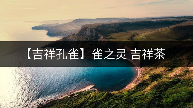 【吉祥孔雀】雀之靈 吉祥茶 【吉祥孔雀】雀之靈 吉祥茶