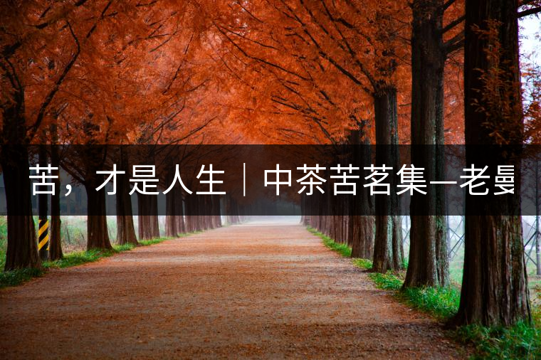 苦，才是人生｜中茶苦茗集—老曼峨普洱茶（生茶）