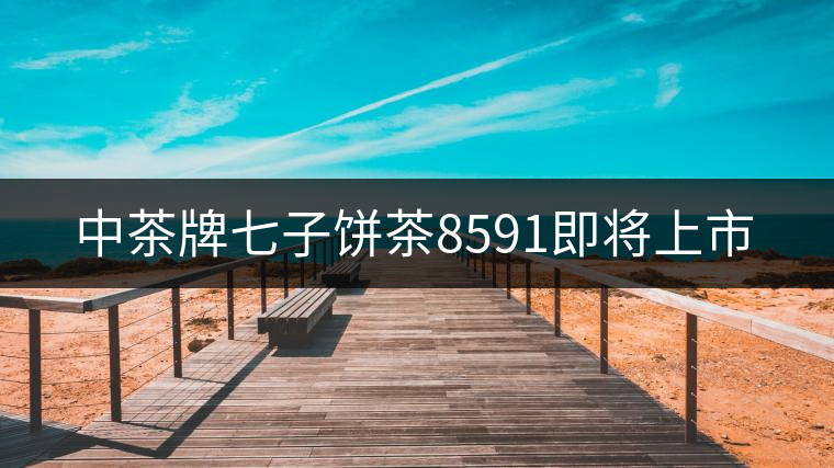 中茶牌七子餅茶8591即將上市