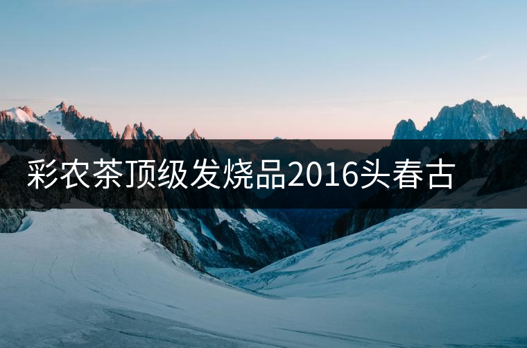 彩農(nóng)茶頂級發(fā)燒品2016頭春古樹純料青餅——云南巖茶·巖魂 彩農(nóng)茶頂級發(fā)燒品2016頭春古樹純料青餅——云南巖茶·巖魂