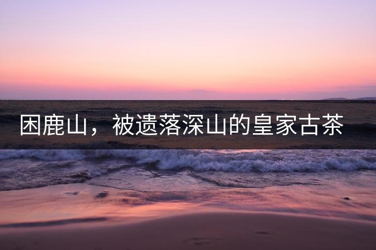 困鹿山，被遺落深山的皇家古茶園