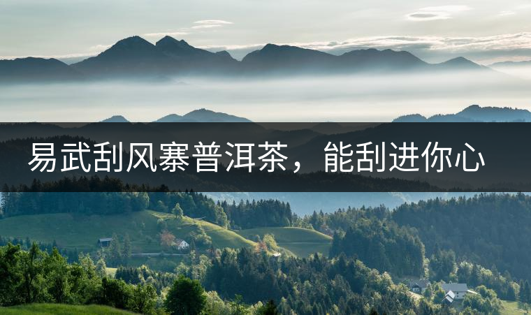 易武刮風(fēng)寨普洱茶，能刮進(jìn)你心中的一道風(fēng)