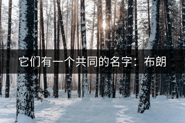 它們有一個共同的名字：布朗