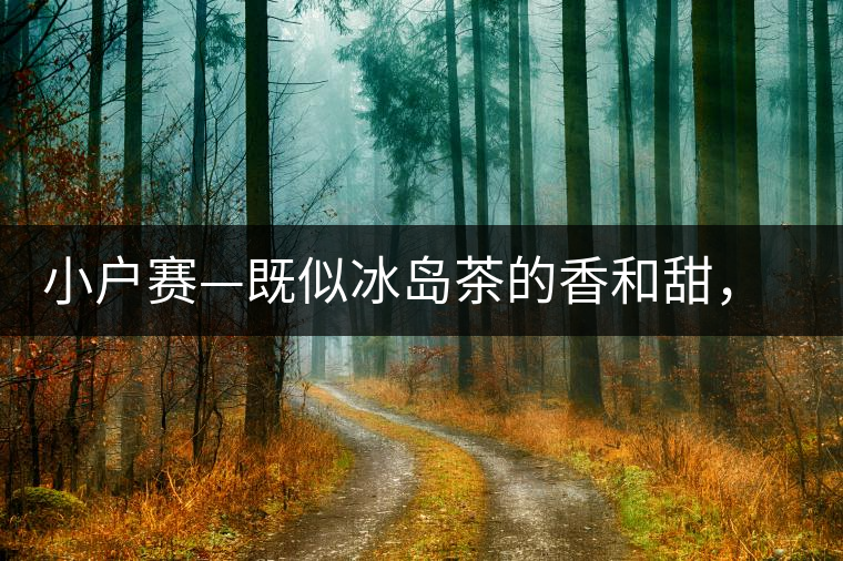 小戶賽—既似冰島茶的香和甜，又有其獨特的純和凈