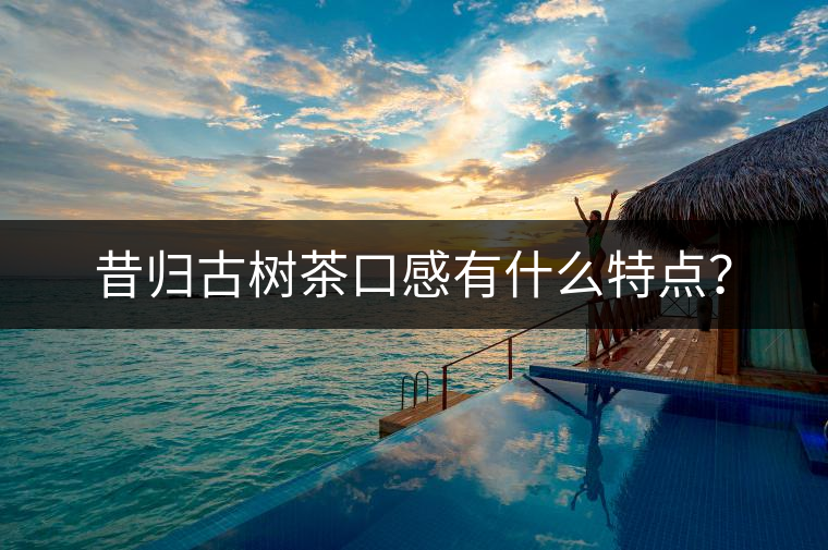 昔歸古樹茶口感有什么特點？
