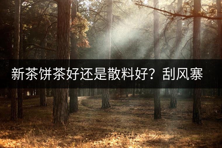 新茶餅茶好還是散料好？刮風(fēng)寨開湯評測