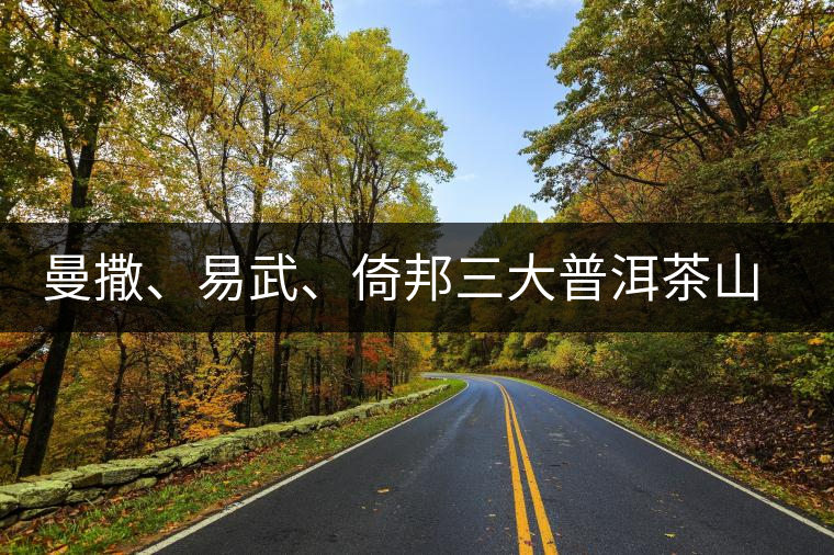 曼撒、易武、倚邦三大普洱茶山的品質(zhì)特點(diǎn)