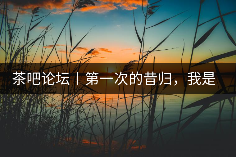 茶吧論壇丨第一次的昔歸，我是這樣喝到的