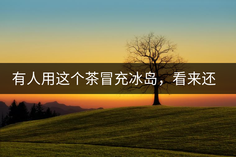 有人用這個(gè)茶冒充冰島，看來(lái)還是有幾分道理