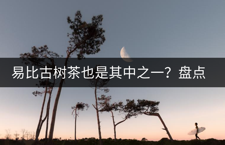 易比古樹茶也是其中之一？盤點當下易武最火的十大古樹茶！