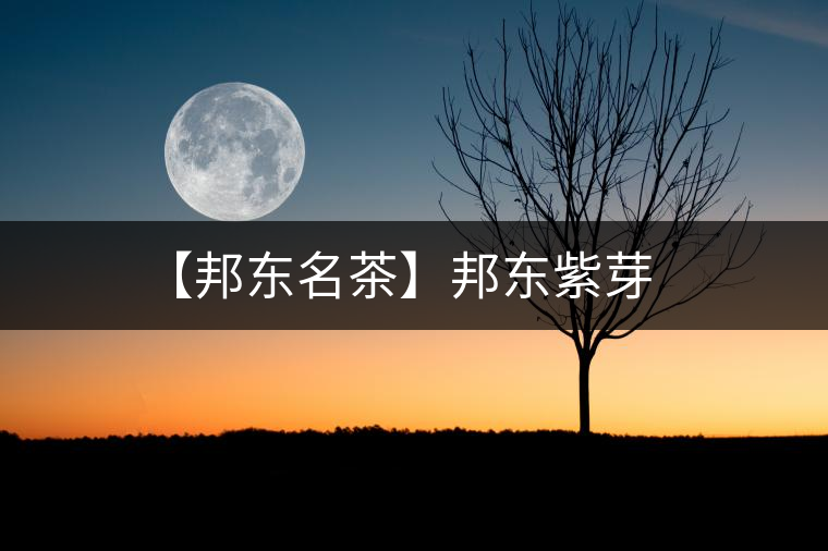 【邦東名茶】邦東紫芽 【邦東名茶】邦東紫芽