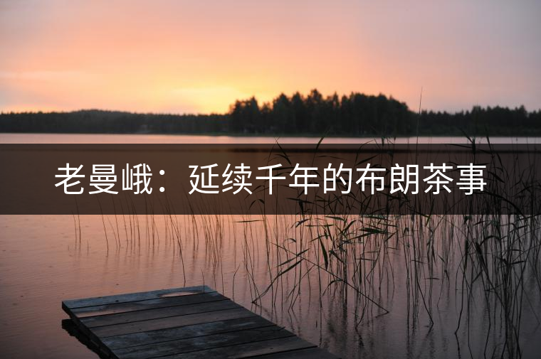 老曼峨:延續(xù)千年的布朗茶事 老曼峨:延續(xù)千年的布朗茶事