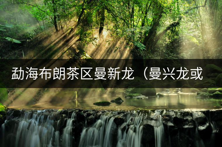 勐海布朗茶區(qū)曼新龍(曼興龍或曼興竜)普洱茶 勐海布朗茶區(qū)曼新龍(曼興龍或曼興竜)普洱茶