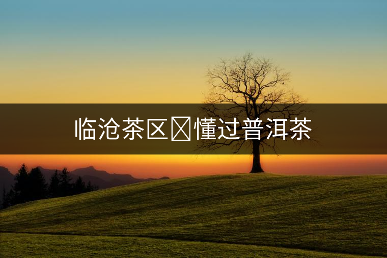 臨滄茶區(qū)?懂過普洱茶