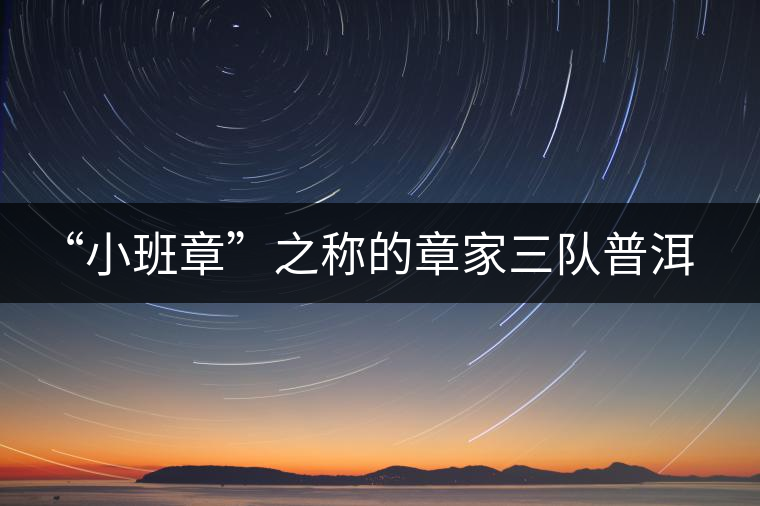 “小班章”之稱的章家三隊普洱茶