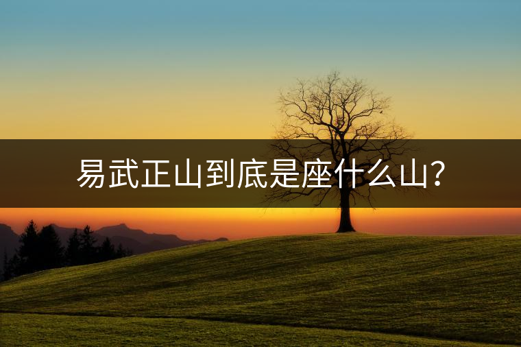 易武正山到底是座什么山？