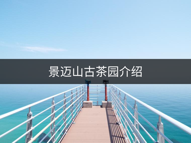 景邁山古茶園介紹 景邁山古茶園介紹