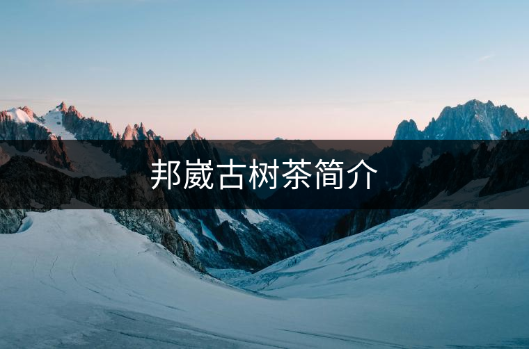 邦崴古樹茶簡(jiǎn)介