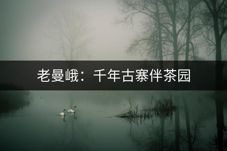 老曼峨:千年古寨伴茶園 老曼峨:千年古寨伴茶園