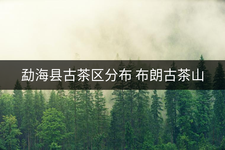 勐?？h古茶區(qū)分布 布朗古茶山