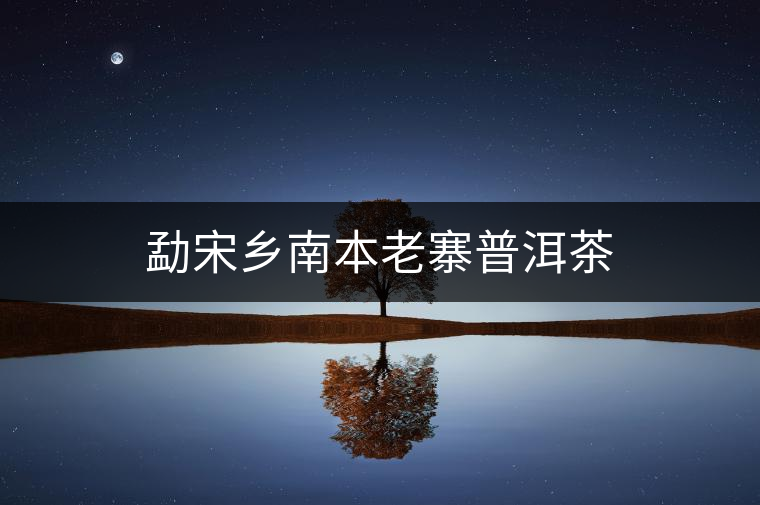 勐宋鄉(xiāng)南本老寨普洱茶 勐宋鄉(xiāng)南本老寨普洱茶
