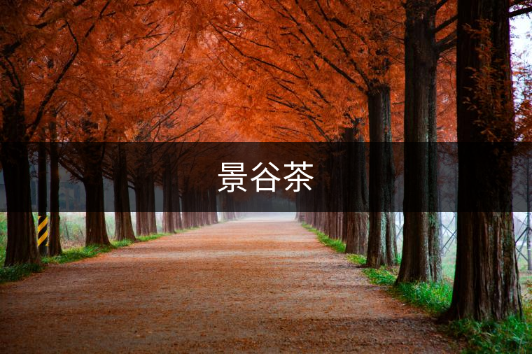 景谷茶 景谷茶