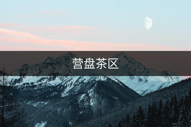 營(yíng)盤(pán)茶區(qū)