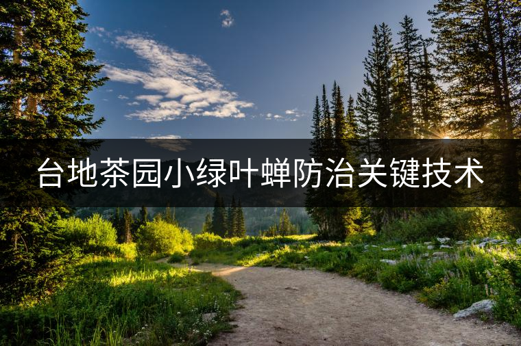 臺地茶園小綠葉蟬防治關鍵技術 臺地茶園小綠葉蟬防治關鍵技術