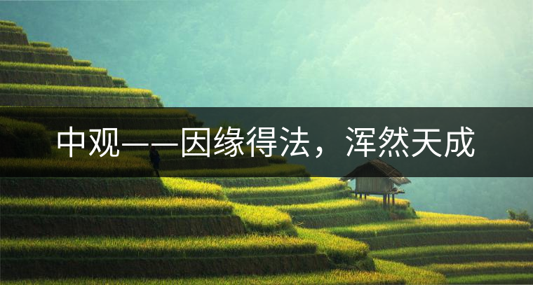 中觀——因緣得法，渾然天成