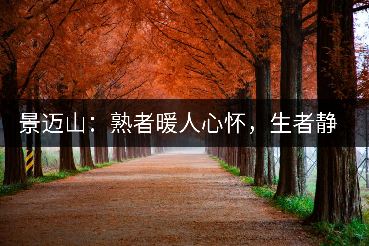 景邁山：熟者暖人心懷，生者靜品歲月