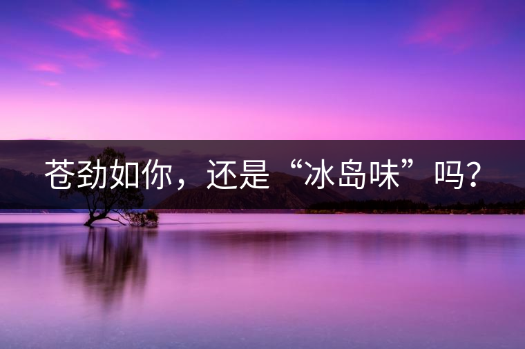 蒼勁如你，還是“冰島味”嗎？
