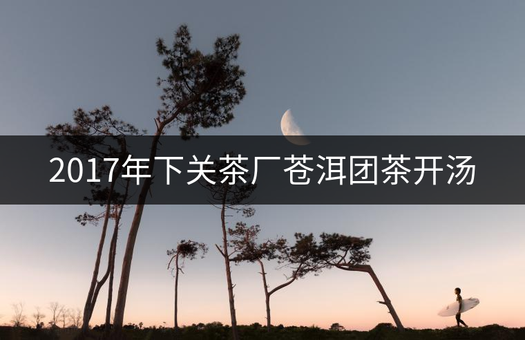 2017年下關(guān)茶廠蒼洱團(tuán)茶開湯 2017年下關(guān)茶廠蒼洱團(tuán)茶開湯