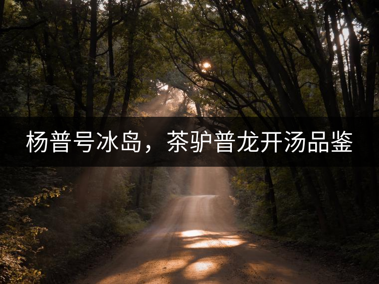 楊普號冰島，茶驢普龍開湯品鑒