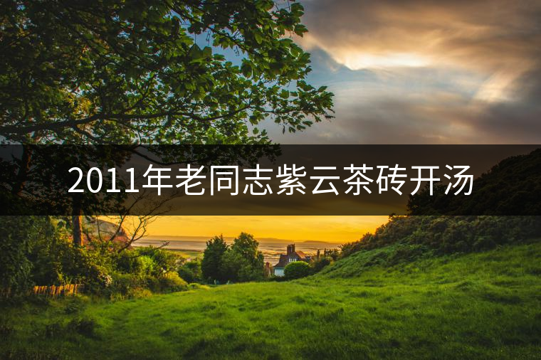 2011年老同志紫云茶磚開(kāi)湯 2011年老同志紫云茶磚開(kāi)湯