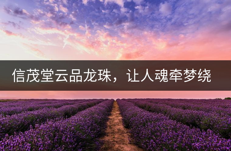 信茂堂云品龍珠，讓人魂牽夢繞的尤物