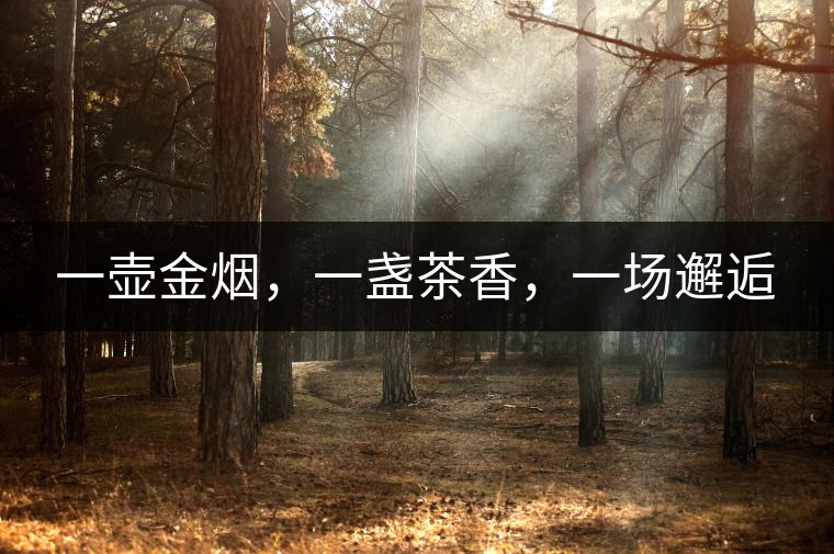 一壺金煙，一盞茶香，一場(chǎng)邂逅