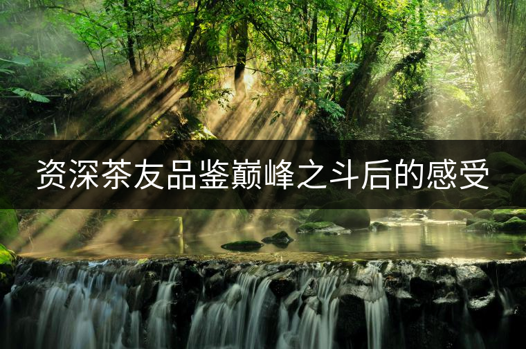 資深茶友品鑒巔峰之斗后的感受 資深茶友品鑒巔峰之斗后的感受