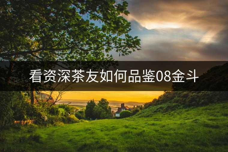 看資深茶友如何品鑒08金斗 看資深茶友如何品鑒08金斗