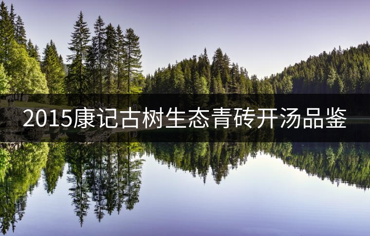 2015康記古樹生態(tài)青磚開湯品鑒 2015康記古樹生態(tài)青磚開湯品鑒