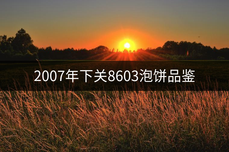 2007年下關(guān)8603泡餅品鑒 2007年下關(guān)8603泡餅品鑒