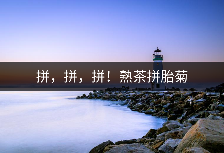 拼，拼，拼！熟茶拼胎菊