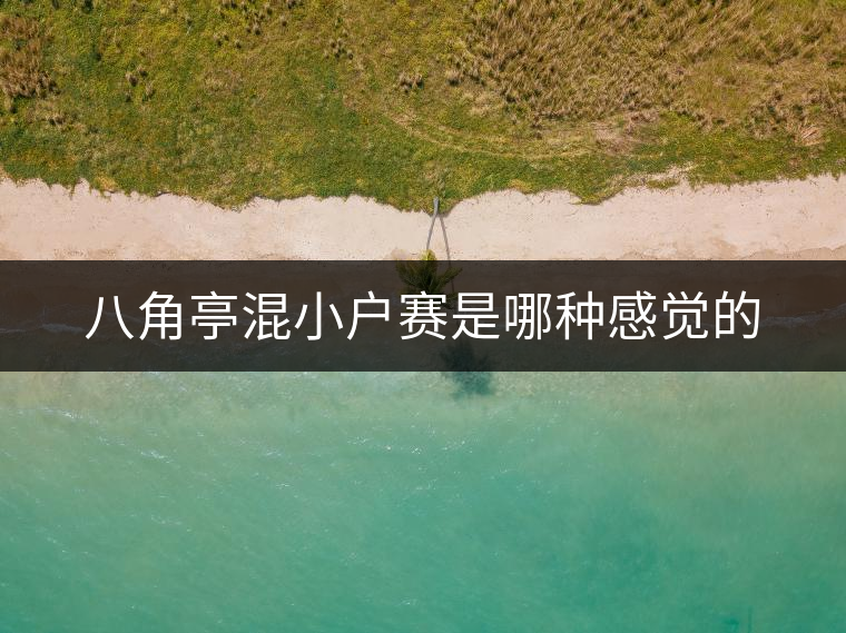 八角亭混小戶(hù)賽是哪種感覺(jué)的 八角亭混小戶(hù)賽是哪種感覺(jué)的