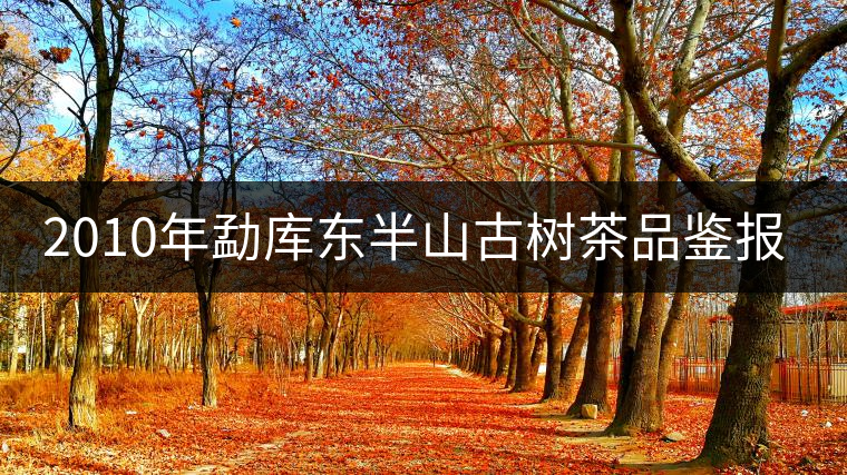 2010年勐庫東半山古樹茶品鑒報(bào)告