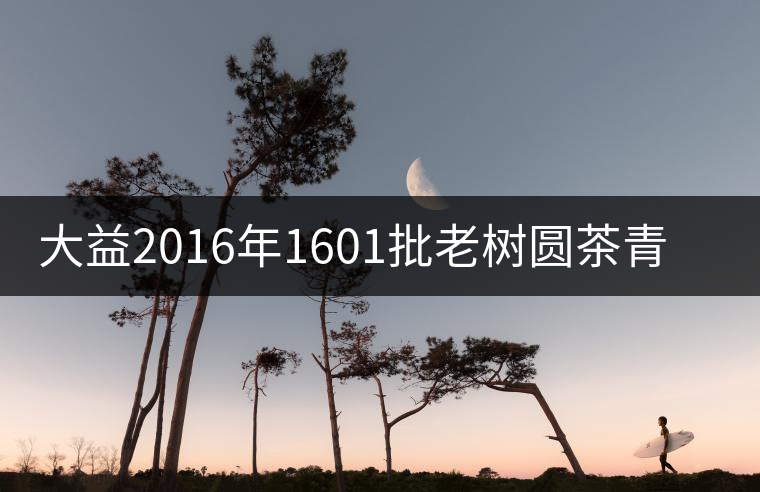 大益2016年1601批老樹圓茶青餅開湯品鑒 大益2016年1601批老樹圓茶青餅開湯品鑒
