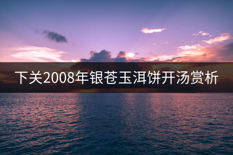 下關(guān)2008年銀蒼玉洱餅開湯賞析 下關(guān)2008年銀蒼玉洱餅開湯賞析