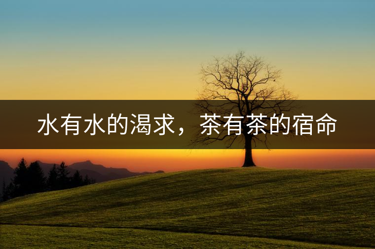 水有水的渴求，茶有茶的宿命