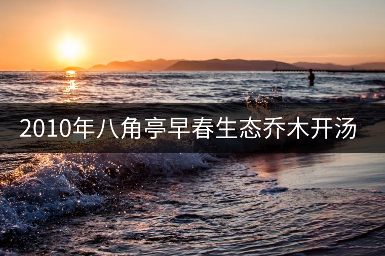 2010年八角亭早春生態(tài)喬木開(kāi)湯品鑒 2010年八角亭早春生態(tài)喬木開(kāi)湯品鑒