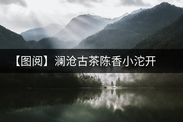 【圖閱】瀾滄古茶陳香小沱開湯 【圖閱】瀾滄古茶陳香小沱開湯